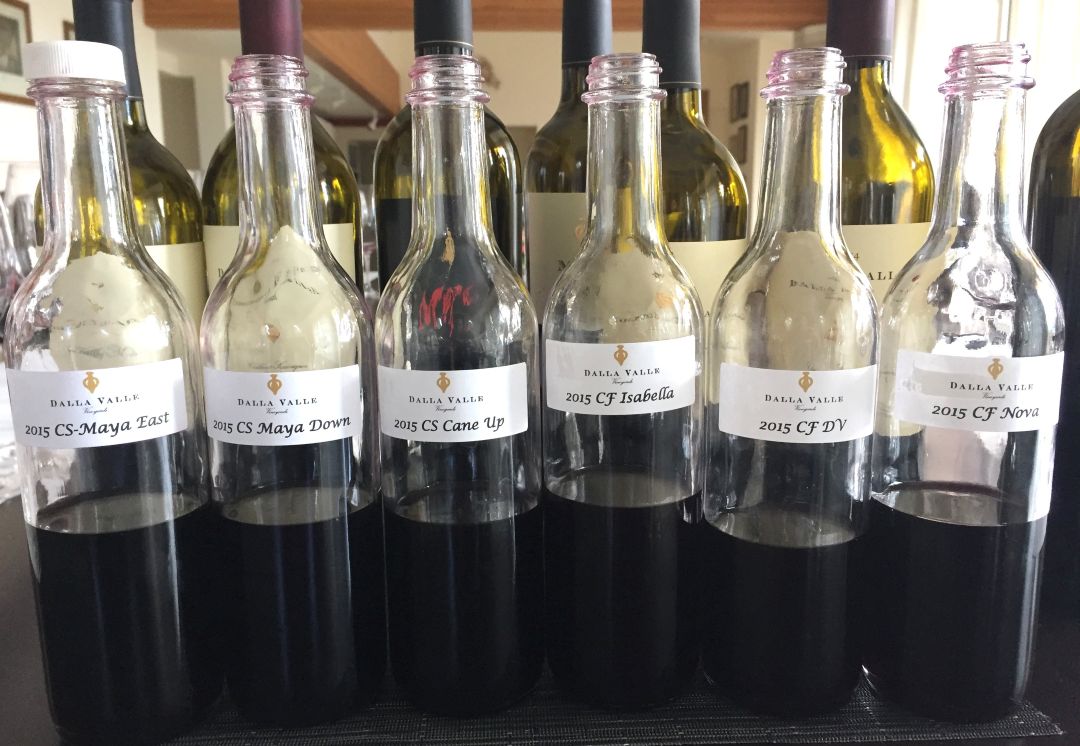 2015 Napa Valley Cabernet Sauvignon: In the Zone (Nov 2025)